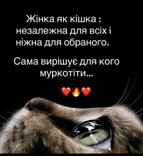 FB_IMG_1775200443323