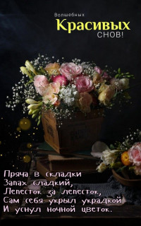 -Ночной-Цветок-