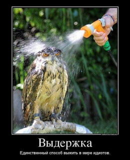 выдержка
