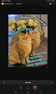 -Доброго-Дня-