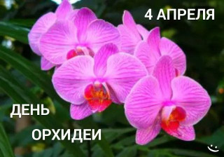 -День-Орхидеи-