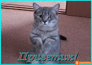 otkritka-privetik-animatziya