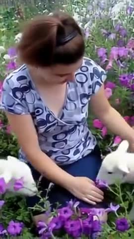 video_13278478491540