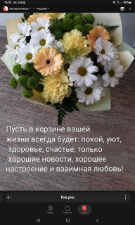 -Корзина-Жизни-