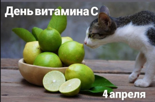 -День-Витамина-С-