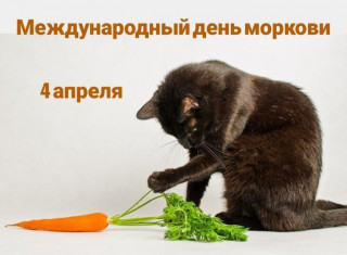 -День-Морковки-
