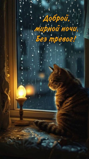 -Мирная-Ночка-