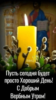 -Утро-Верба-