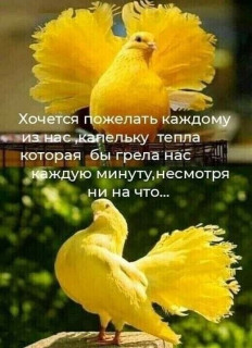 -Капелька-Тепла-