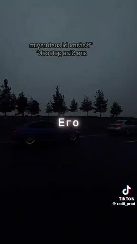 493c11a60064e740d8ffa84ec60b4109