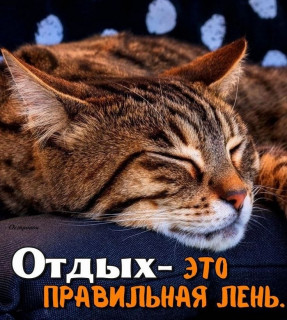 -Правильная-Лень-