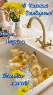 -Чистые-утята-