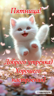 10e2e203dbd13770614e6f02020826bb