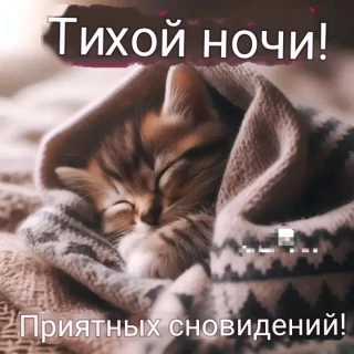 -Тихой-Ночки-