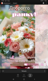 -Добрый-День-