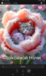 -Доброй-Ночки-