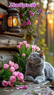 -Создай-Настроение-