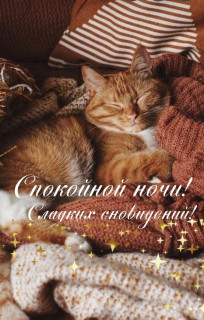 -Доброй-Ночки-