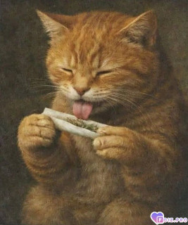 -75809-Покурим-