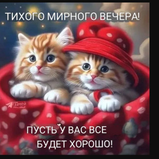 -Два-Котика-