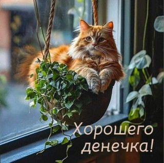 -Хорошего-Денечка-