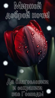 -Храни-Вас-Господь-