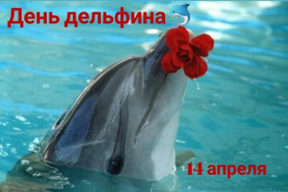 -День-Дельфина-