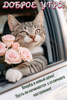 Foiz_PRO_IMG_20260414_063513_872