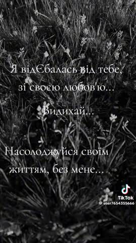 d03efc6aaaf508e7a3c6dd104cc1643b