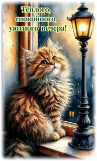 -Уютный-Вечер-