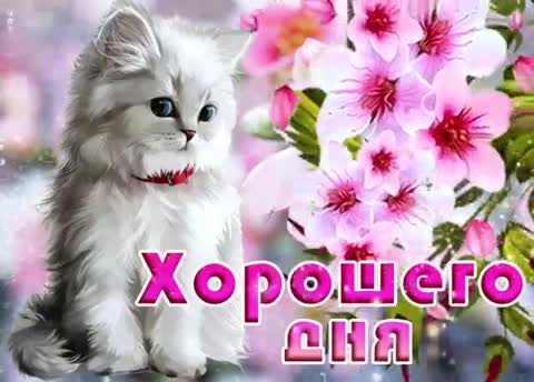 -Хорошего-Дня-