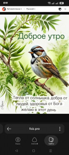 -Теплый-День-