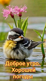 -Хорошая-Погода-