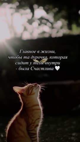 -9037563039148833317