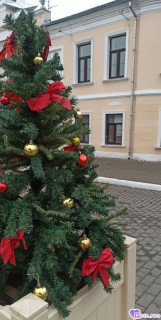 Foiz_PRO_IMG_20251206_133304