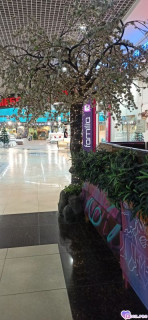 Foiz_PRO_IMG_20251214_081511