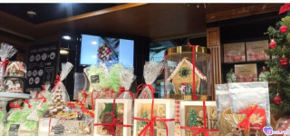 Foiz_PRO_IMG_20260105_190052