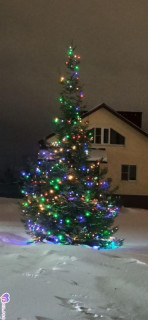 Foiz_PRO_IMG_20260107_020630