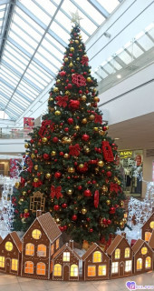 Foiz_PRO_IMG_20260110_174102