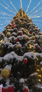 Foiz_PRO_IMG_20260117_081901