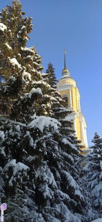 Foiz_PRO_IMG_20260117_115105