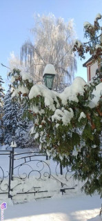 Foiz_PRO_IMG_20260117_121129