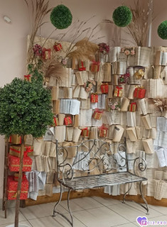 Foiz_PRO_IMG_20260222_123111