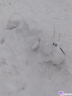 Foiz_PRO_IMG_20260304_072449