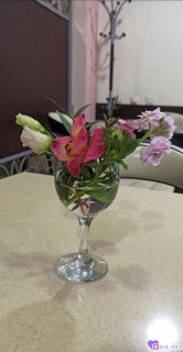 Foiz_PRO_IMG_20260306_091649