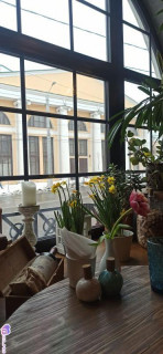 Foiz_PRO_IMG_20260309_134926