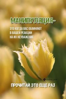 Foiz_PRO_Манипуляция