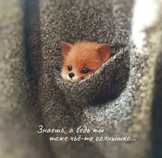 Foiz_PRO_e0e9b4348ddfaed8a0dd5a888ffcce7c