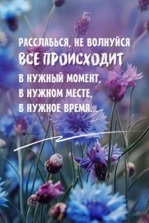 Foiz_PRO_В_нужное_время____