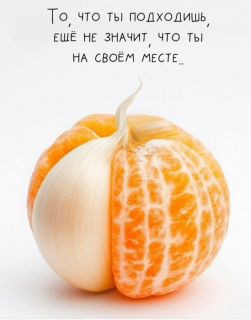 Foiz_PRO_8b4447ce3561c9148ff3404a391a7781